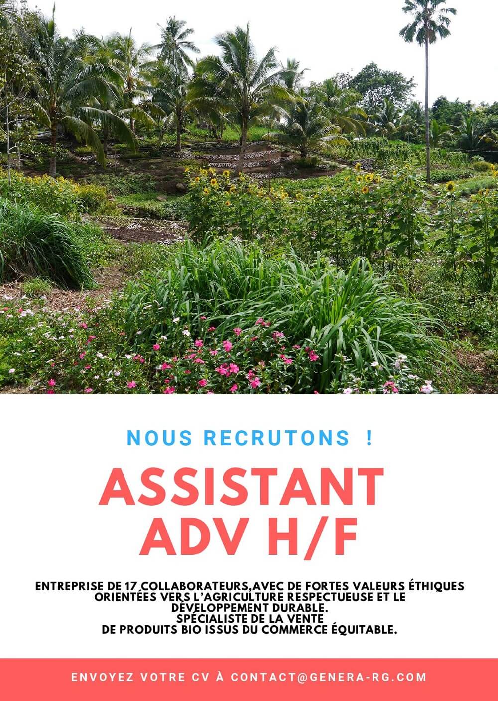 offre d'emploi